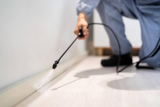 Licensed Fumigation Services service in Clackamas County County, OR - Nex Pest Control